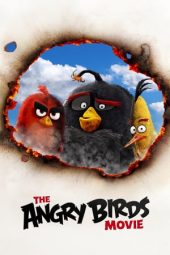 The Angry Birds Movie (2016)