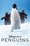 Download Film Penguins (2019) Full Movie Subtitle Indonesia