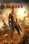 Download Film Baaghi 3 (2020) Sub Indo