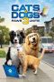 Download Film Cats & Dogs 3: Paws Unite