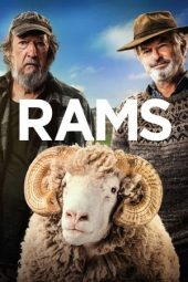 Download Film Rams