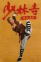 The Legend of Shaolin Temple