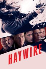 Haywire (2011)